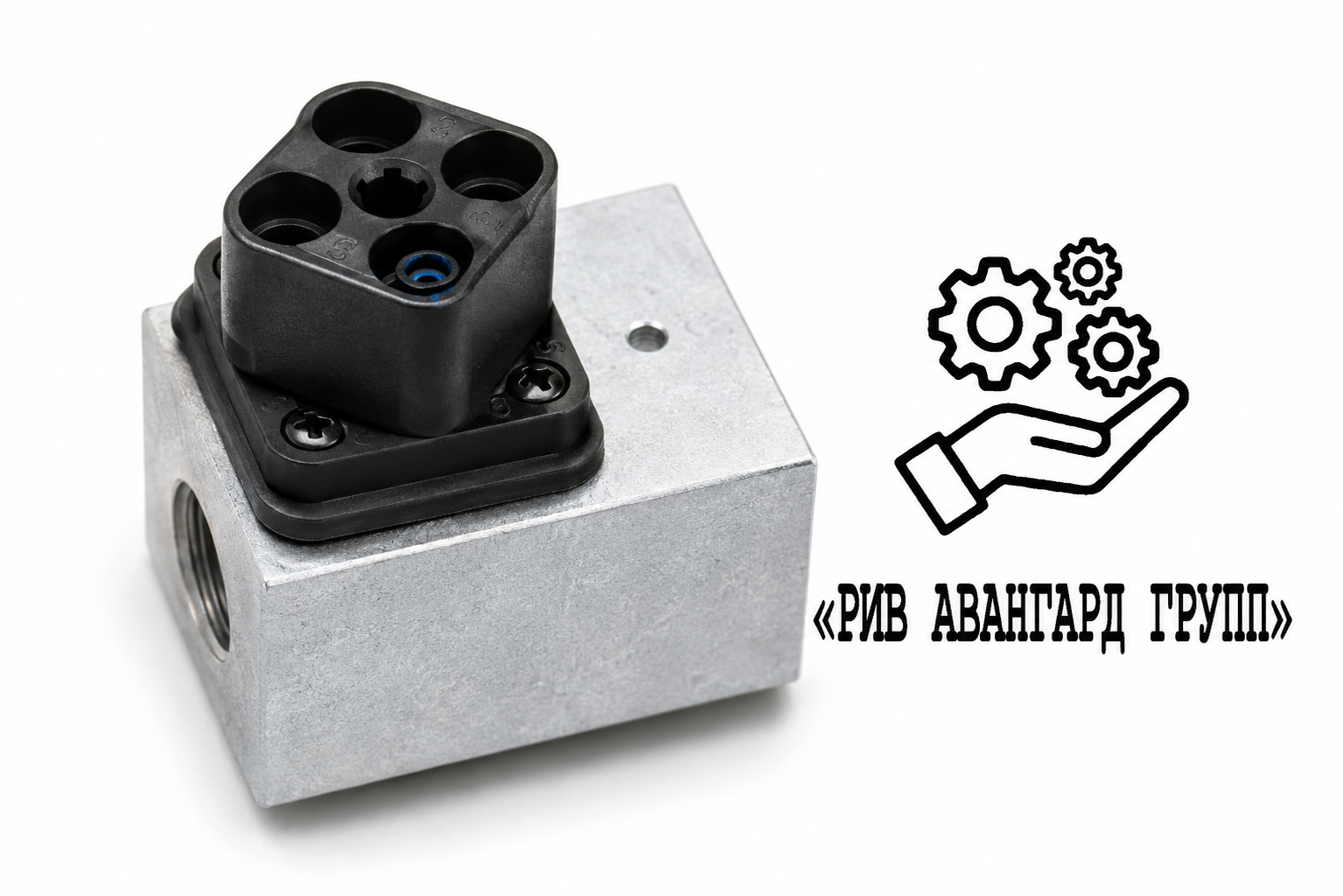 Катушка пропорционального клапана 24V, PUTZMEISTER, 407263, 55210514