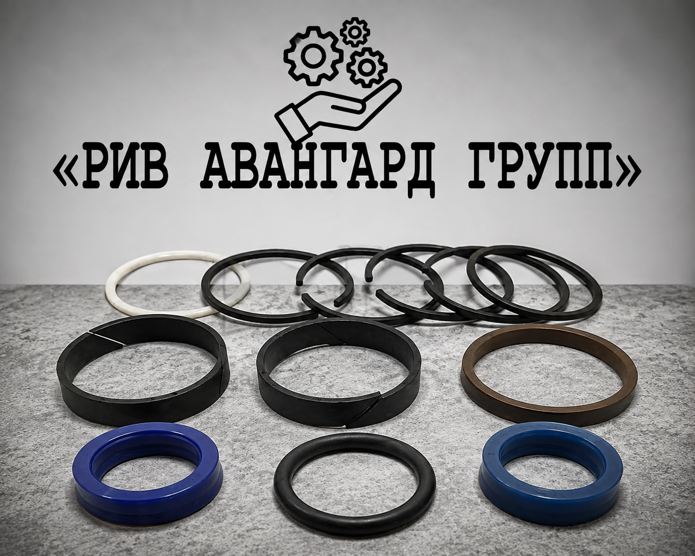 Набор уплотнений плунжерного гидроцилиндра 160-50 28, 2 выхода