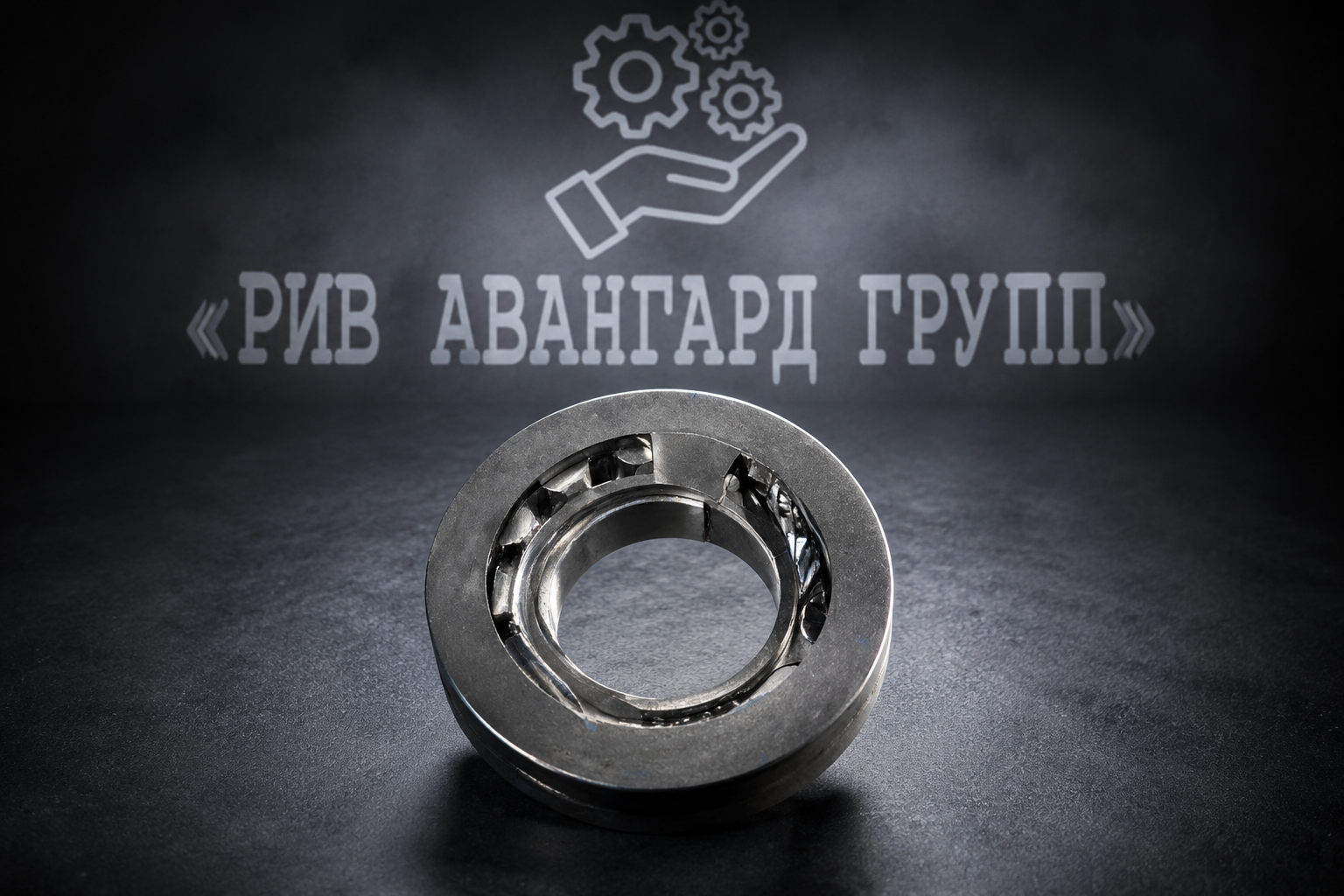 Нагнетательный гидронасос DPV25, PUTZMEISTER, 271548003, 55110017