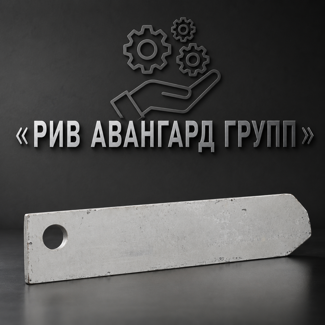 Пластина, PUTZMEISTER, 266682000