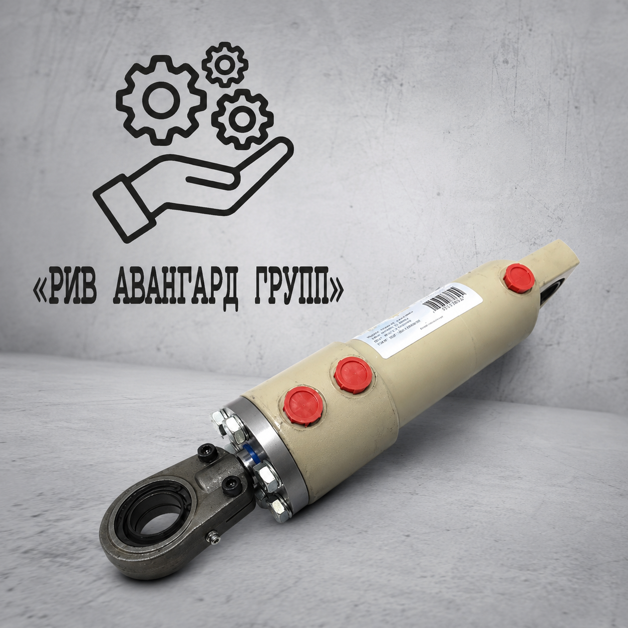 Плунжерный гидроцилиндр 160-50 28, 3 выхода, PUTZMEISTER, 063386004, 55310034