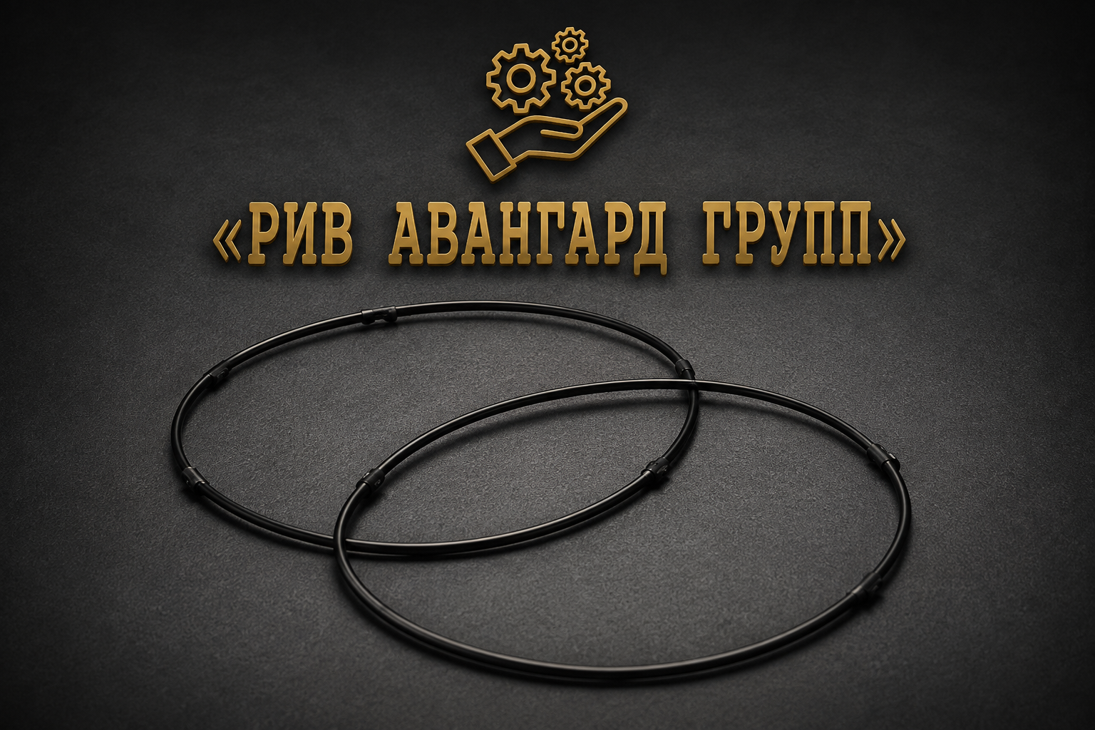Уплотнение 210x3.5