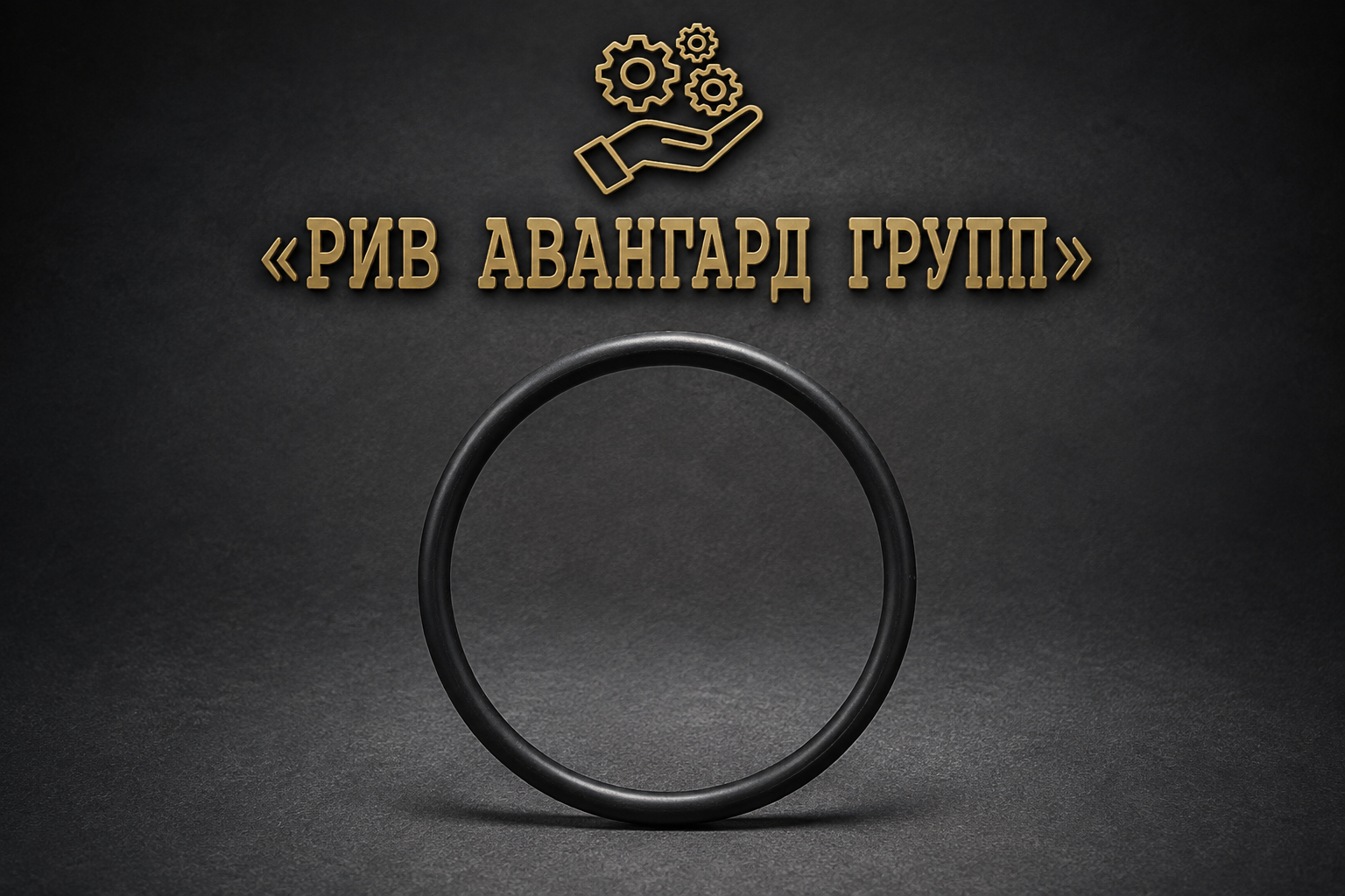 Уплотнение 235x5