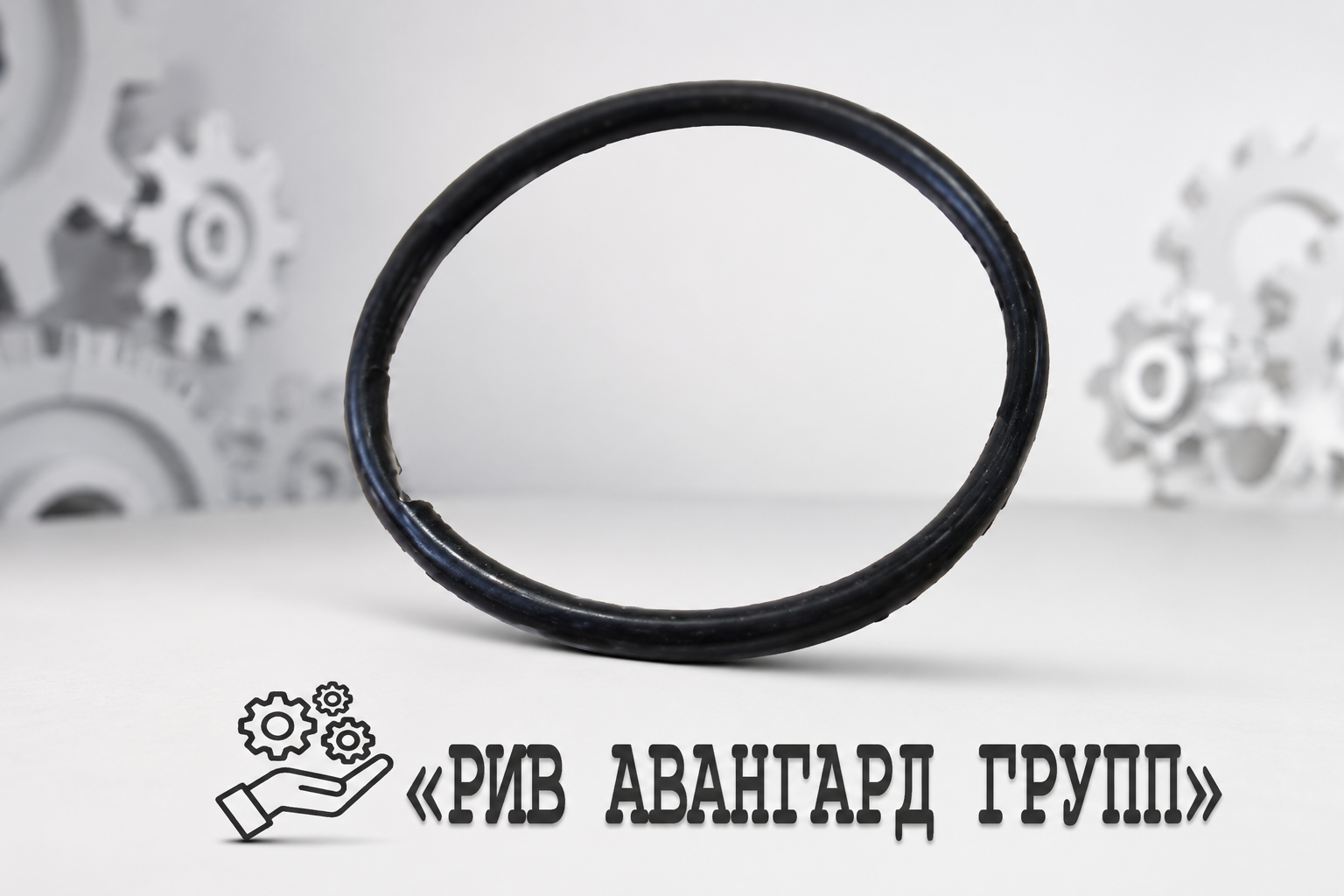 Уплотнение, SCHWING, 10000677