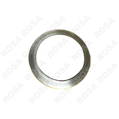 Шиберное кольцо для Waitzinger DN230 B175210 (усиленный металл)