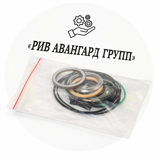 Комплект уплотнений Putzmeister гидромотора Rotor Stator мешалки